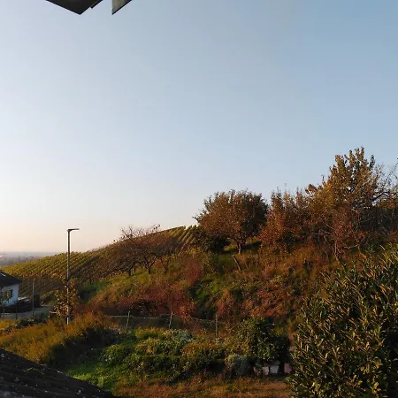 By Vollmer's Komfortabel Und Chic *